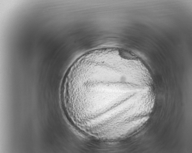 X0000066941423200604142012