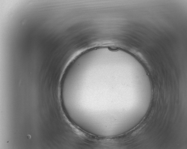 X0000066941424200604142012