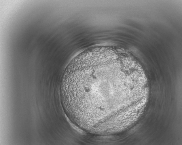 X0000066941425200604142012