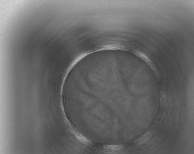 X0000066941427200604142012