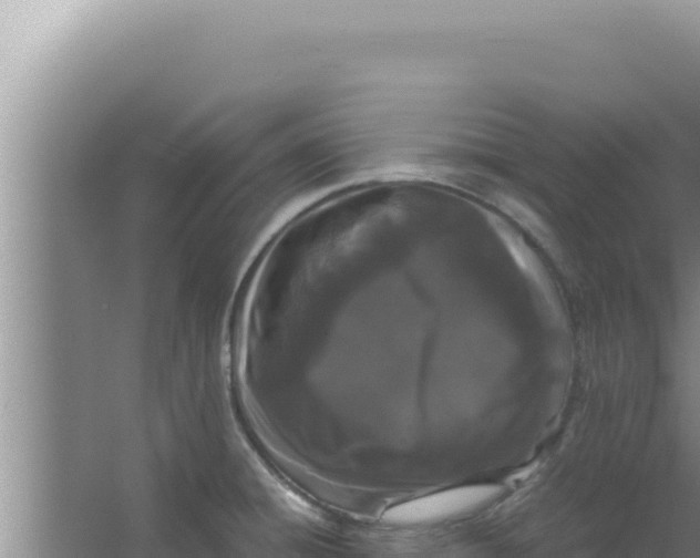 X0000066941428200604142012