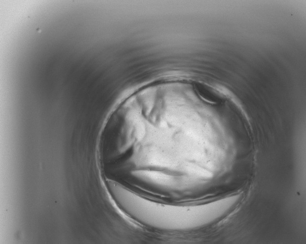 X0000066941429200604142012