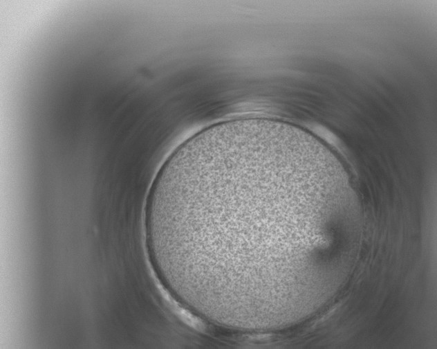 X0000066941431200604142012