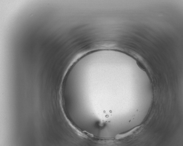 X0000066941432200604142012