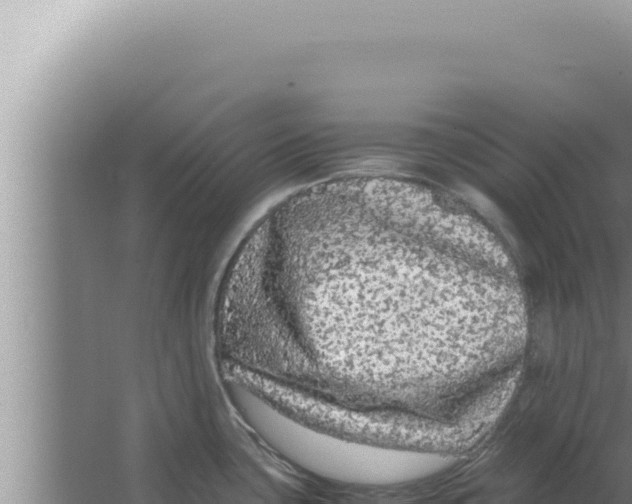 X0000066941435200604142012