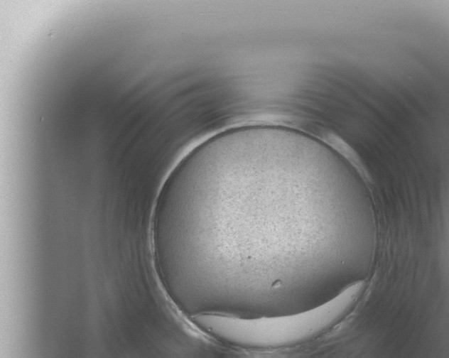 X0000066941436200604142012