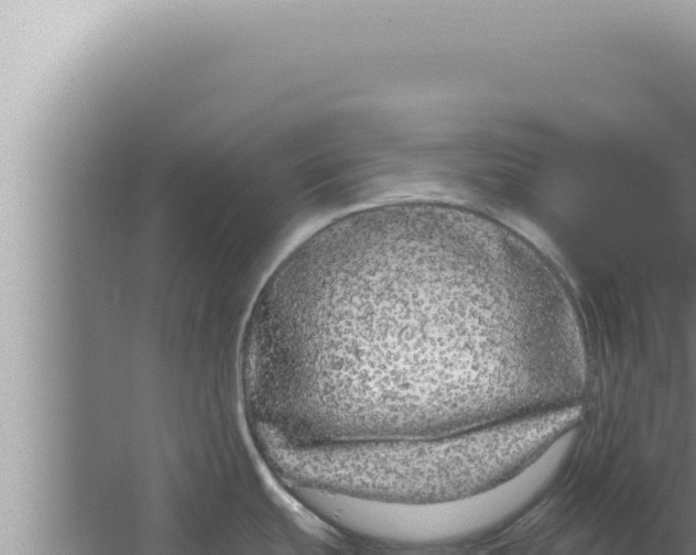 X0000066941439200604142012