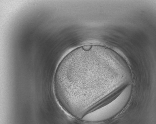 X0000066941440200604142012