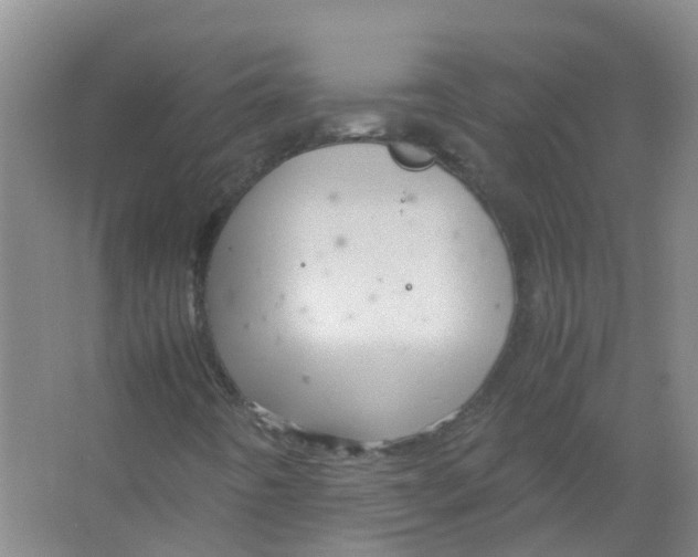 X0000066941442200604142011