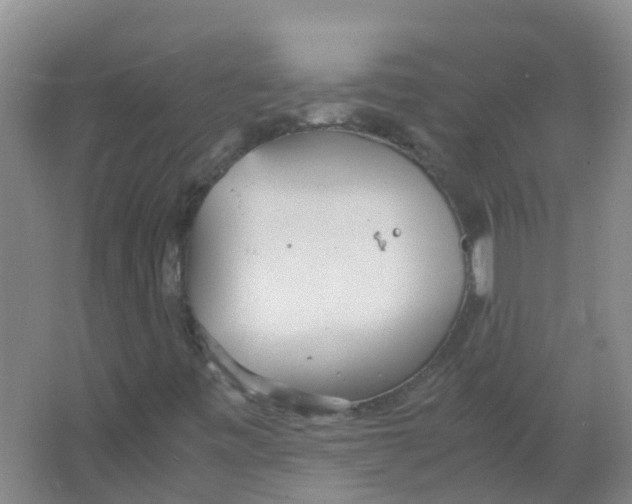 X0000066941443200604142011