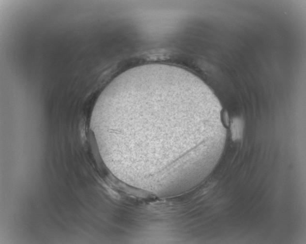 X0000066941444200604142011