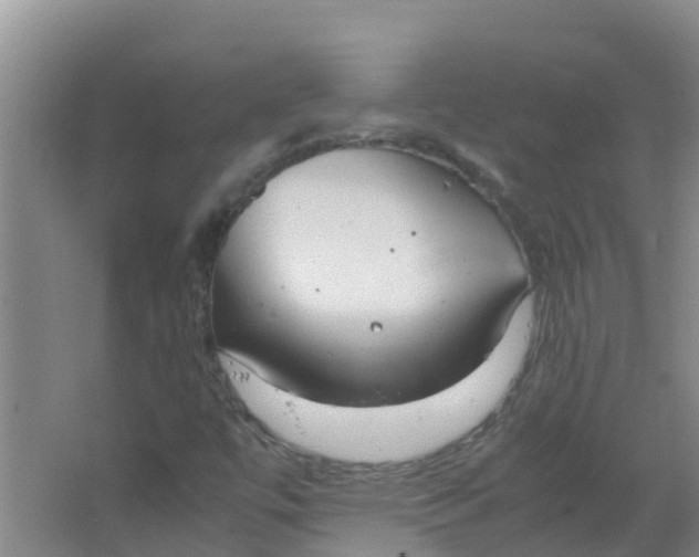 X0000066941447200604142011