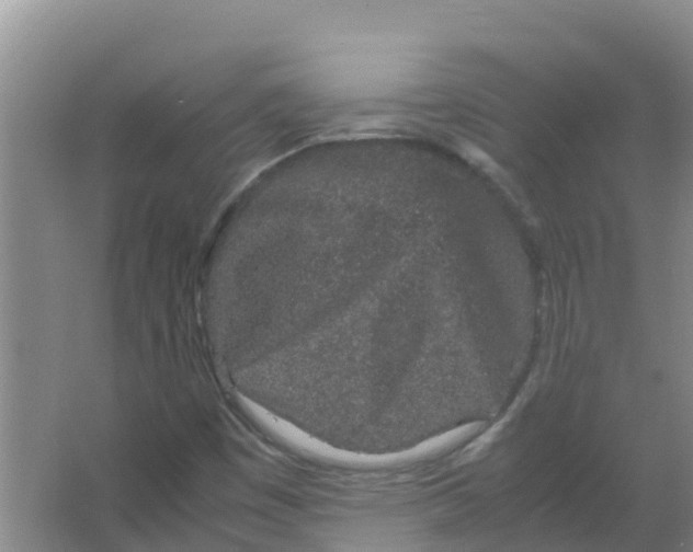 X0000066941449200604142011