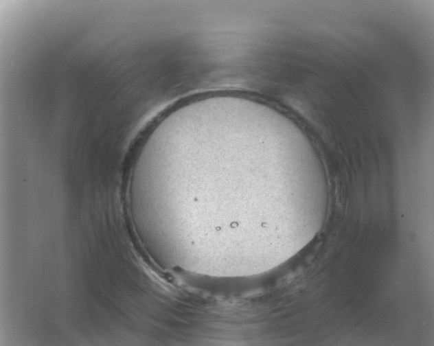 X0000066941452200604142011