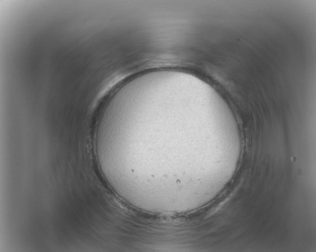 X0000066941453200604142011