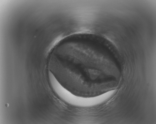 X0000066941455200604142011