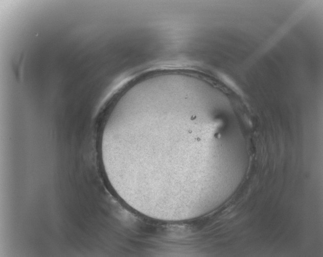 X0000066941456200604142011