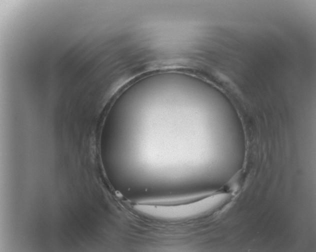 X0000066941457200604142011