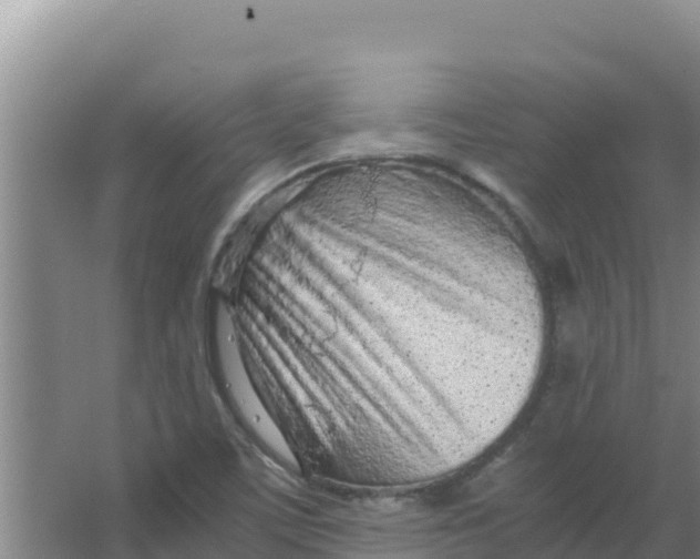 X0000066941459200604142011