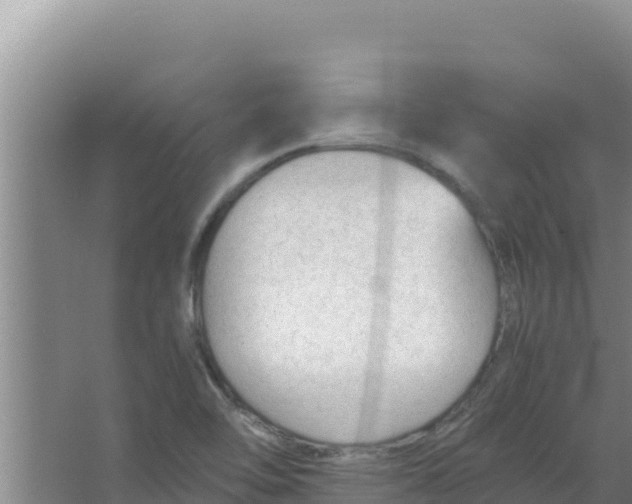 X0000066941462200604142011