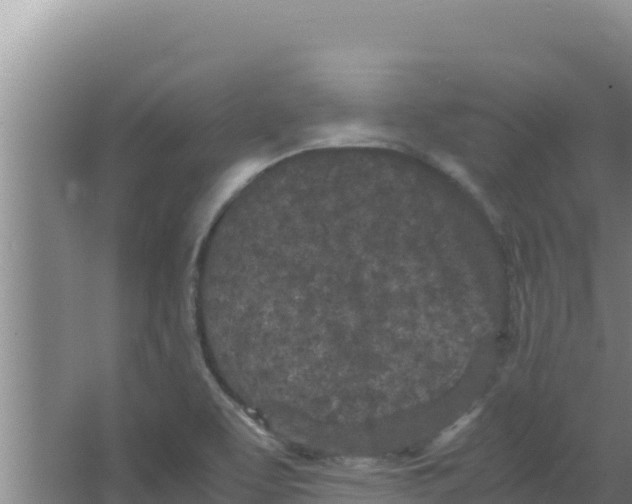 X0000066941463200604142011