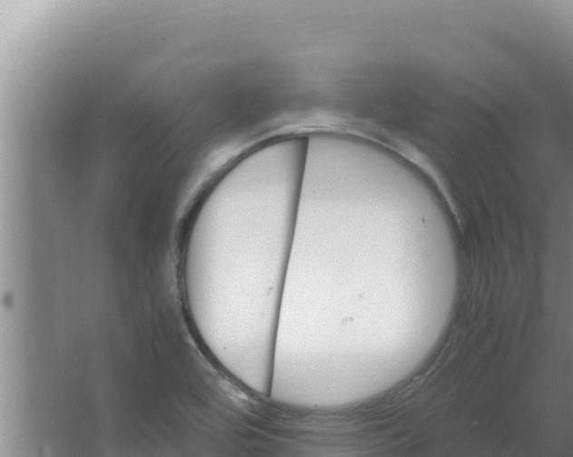 X0000066941464200604142011