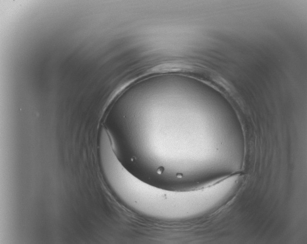 X0000066941465200604142011