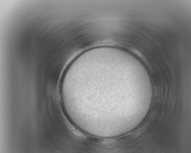 X0000066941466200604142011