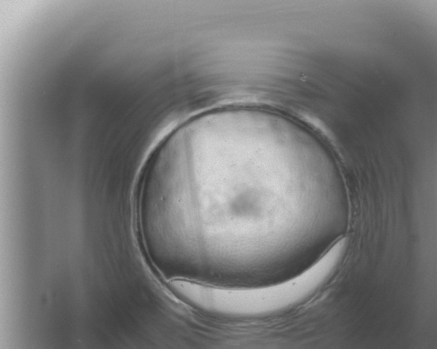 X0000066941467200604142011