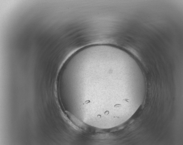 X0000066941468200604142011