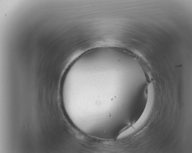 X0000066941469200604142011