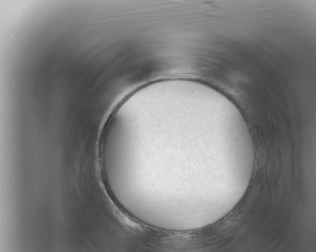 X0000066941470200604142011