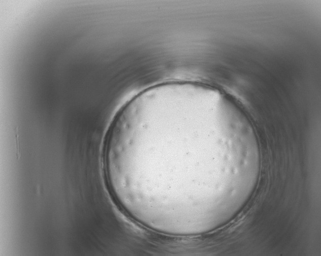 X0000066941471200604142011