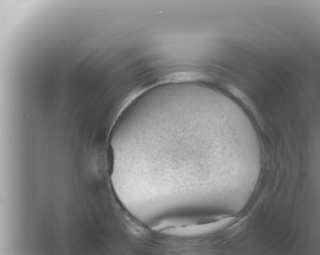 X0000066941473200604142011