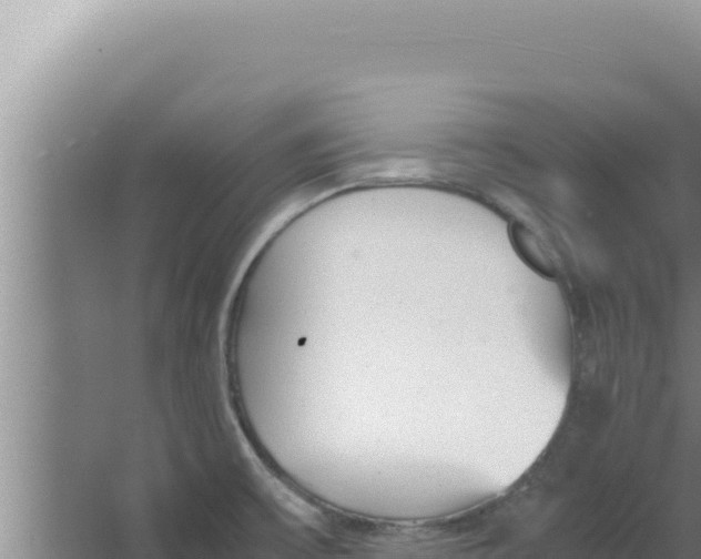 X0000066941475200604142011