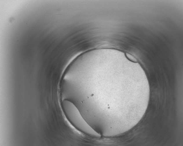 X0000066941476200604142011