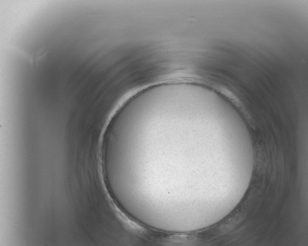 X0000066941478200604142011