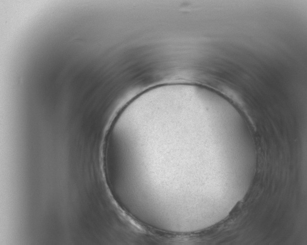 X0000066941480200604142011