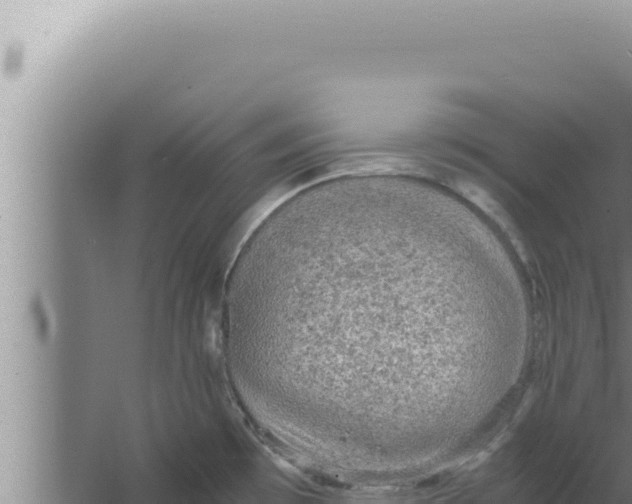 X0000066941481200604142011