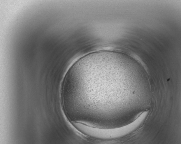 X0000066941483200604142011