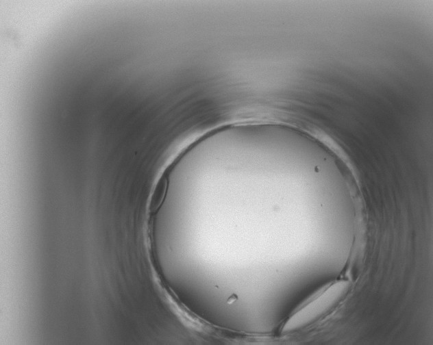 X0000066941485200604142011