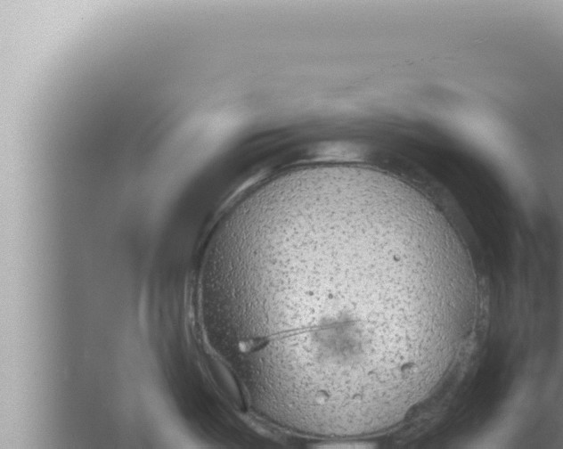 X0000066941487200604142011