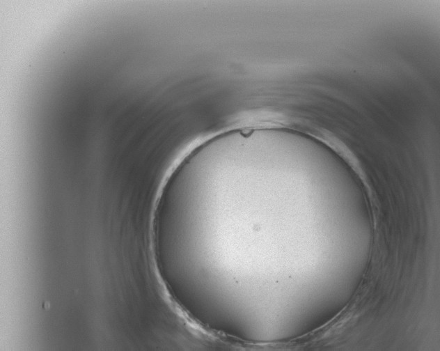 X0000066941488200604142011