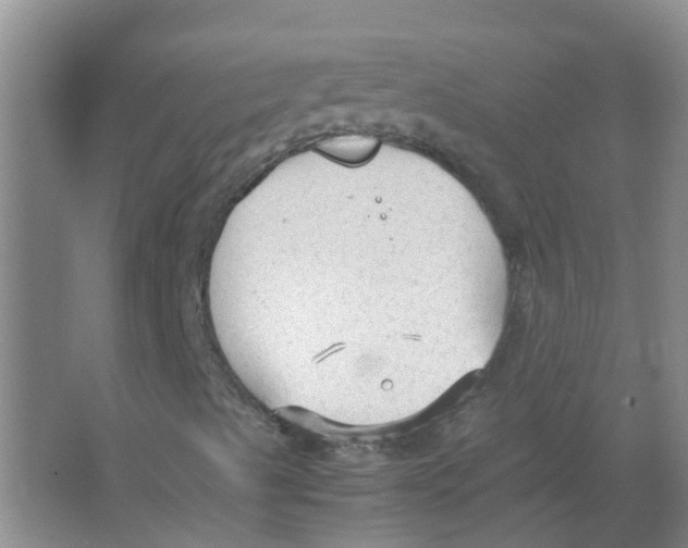 X0000066941489200604142010