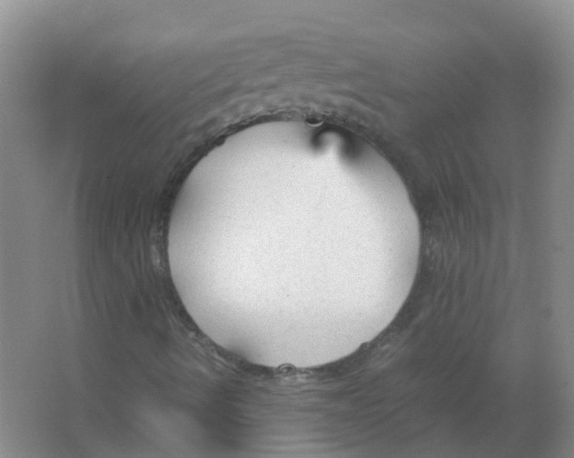 X0000066941490200604142010