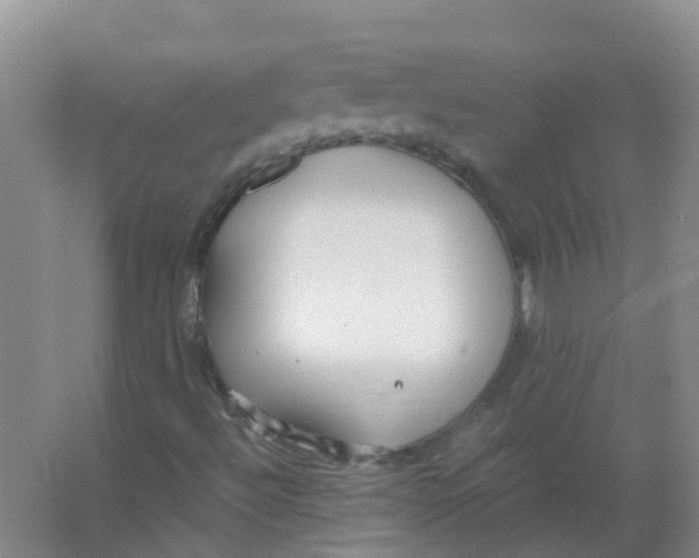 X0000066941492200604142010