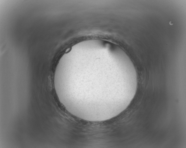 X0000066941493200604142010