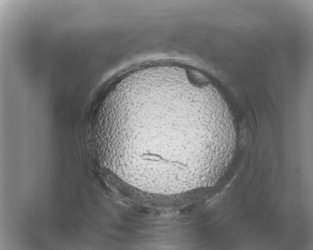 X0000066941494200604142010