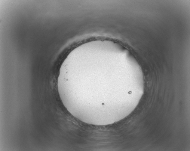 X0000066941495200604142010