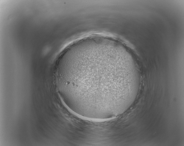 X0000066941496200604142010